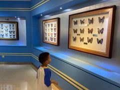 -上海昆虫博物馆