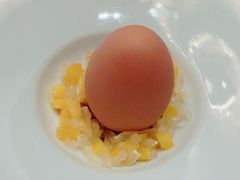 -随堂里
