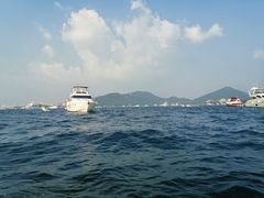 -小猫钓鱼海钓俱乐部(椰梦长廊店)