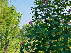 -盘龙城遗址博物院