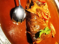 -解家河南菜(金水路店)