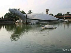 -东方巨龟苑景区