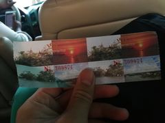 -洞里萨湖