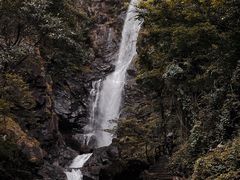 -姑婆山旅游区