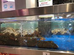 水产区-盒马鲜生(财富中心店)