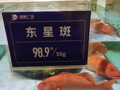 -旺顺阁海鲜广场(亚运村店)