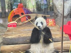-海南热带野生动植物园