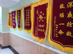 -瑞鹏宠物医院·夜间急症·心超·猫科(祖庙分店)
