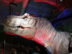 -恐龙探索乐园(磁器口店)