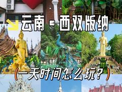 -西双版纳原始森林公园