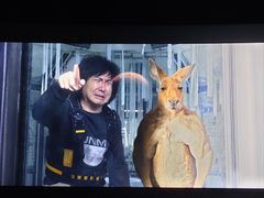 -奥斯卡升龙国际影城(RealD Cinema)