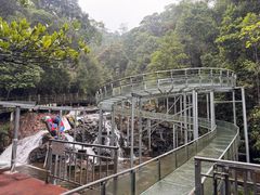 -九龙江国家森林公园