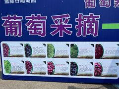 -金谷域澳洲庄园