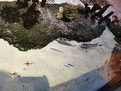 -沈阳海洋探索中心