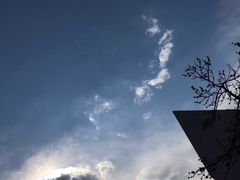 -中国艺术研究院油画院