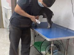 -瑞鹏宠物医院·普外科·影像科·皮肤科(城市山谷分院)