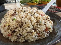 -蘑统田下·野生菌火锅