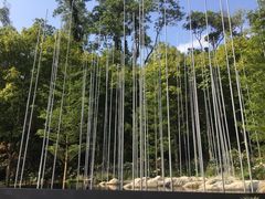 -深圳仙湖植物园
