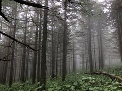 -芦芽山旅游度假区
