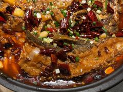 -鑫巴蜀小镇 · 水煮鱼专研店(玉桥店)