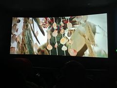 -AMG海上明珠影城(上海环球港RealDCinema店)