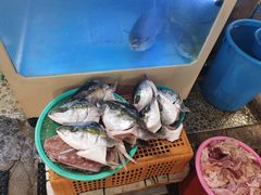 -西归浦每天偶来市场