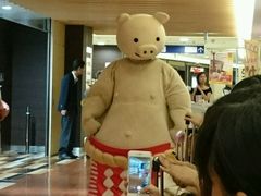 -矢场猪(名古屋站三井楼北馆店)