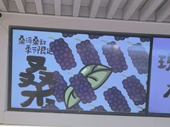 -Mr.Fruits水果先生(蓝色港湾店)