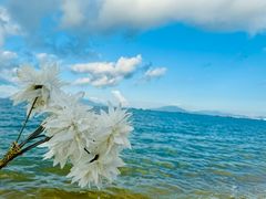 -惠州金海湾嘉华度假酒店