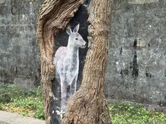 -灵谷景区