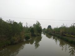 -白鹭湾湿地公园