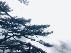 -安徽天堂寨风景区