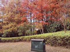 -石湖景区