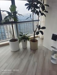 -HEYAN荷妍专业脱毛连锁机构