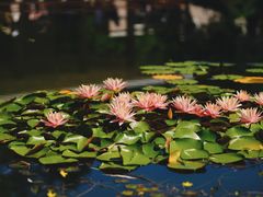 -国家植物园南园