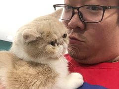 -飞行喵MR PILOT|猫舍·猫咖(静安大融城店)