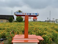 -杭州湾海上花田景区