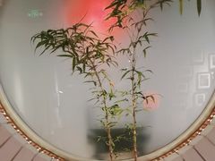 -黔香阁·味(花木店)