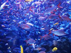 -成都浩海立方海洋公园