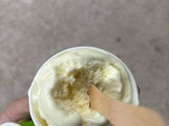 -Dooley's Premium Ice Cream