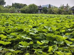 -云龙湖旅游景区