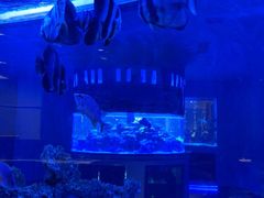 -上和臻品中国菜(花园街店)