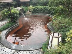 -杭州第一世界大酒店·云曼温泉