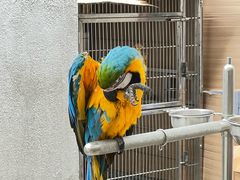 -观桥阁(锦溪店)