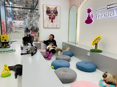 -糯米喵星人·撸猫猫舍咖啡馆(西市场嘉华店)