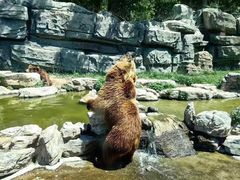 -北京野生动物园