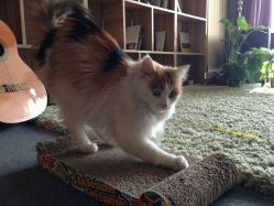 -梵初·STUDIO婚纱摄影(通州万达店)