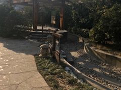 -仁爱团泊湖温泉中心