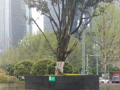 -重庆市江北嘴中央商务区中央公园