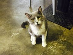 -MIKAKU(万达广场上海宝山店)